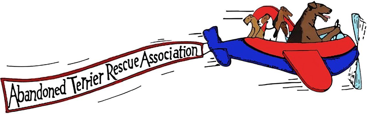 ATRA Rescue | Supporting Wire Fox Terriers