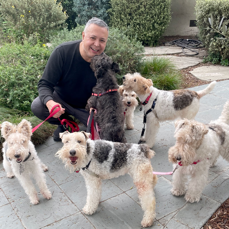 ATRA needs volunteers, like this individual that helps walk the dogs.